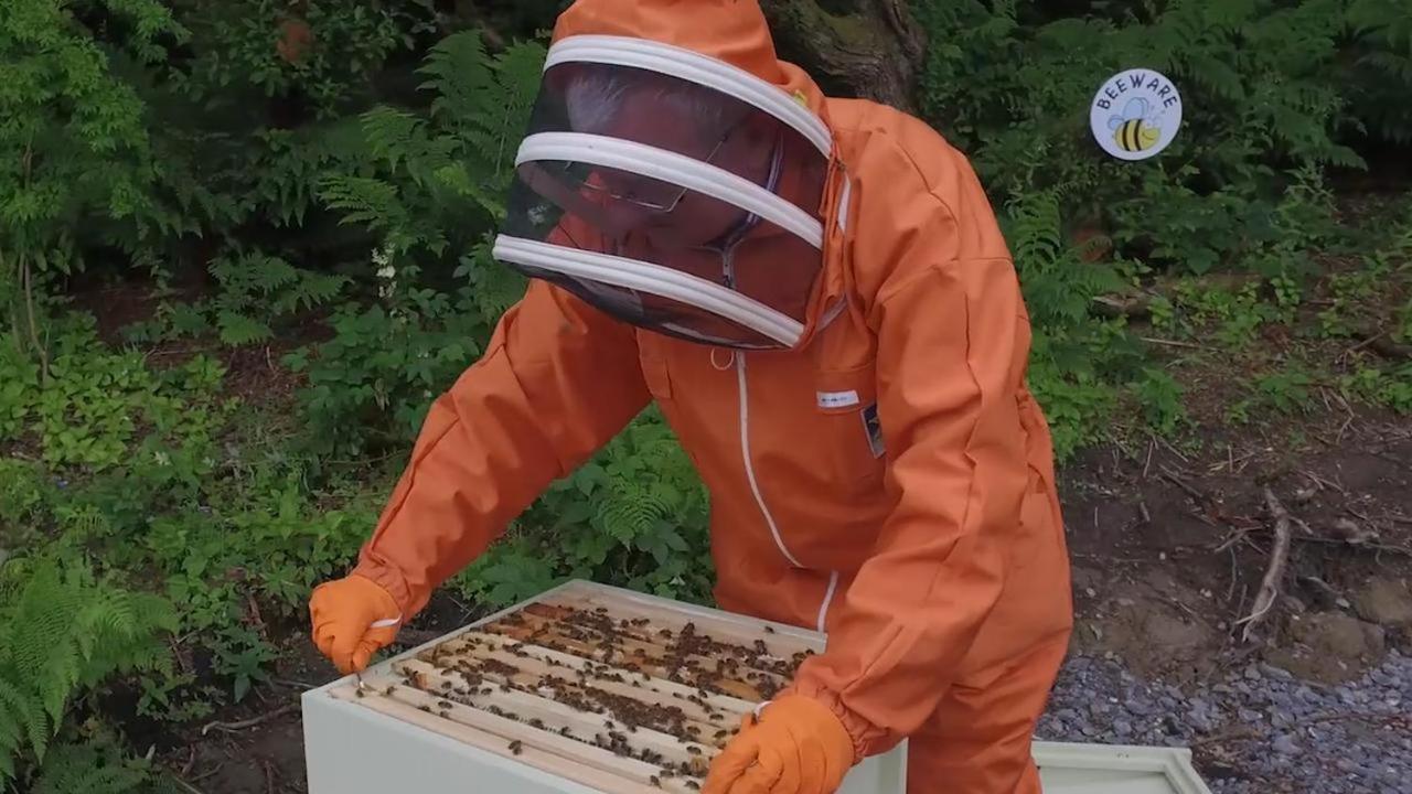 Вилла The Bee Pods Росноулах Экстерьер фото